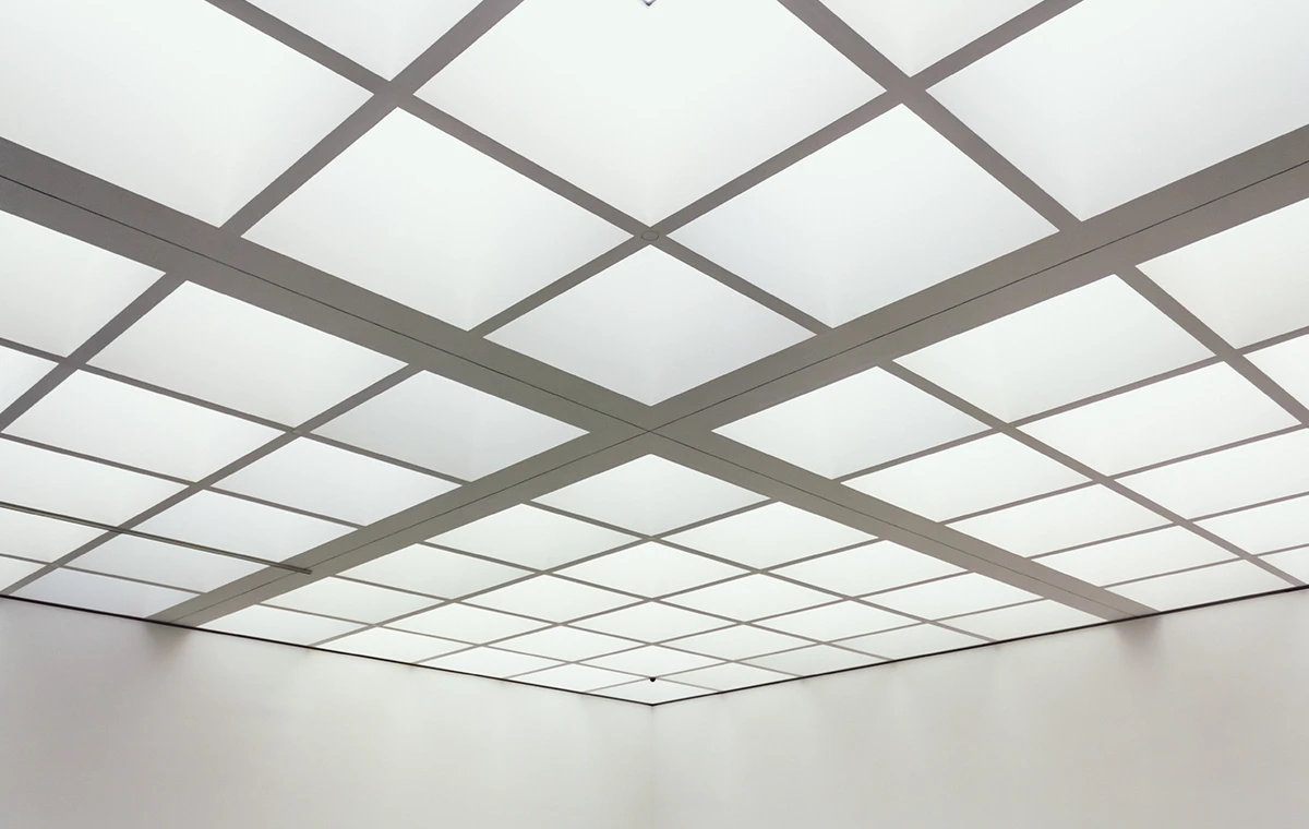 Asma Tavan (Plastik ve Karolem)